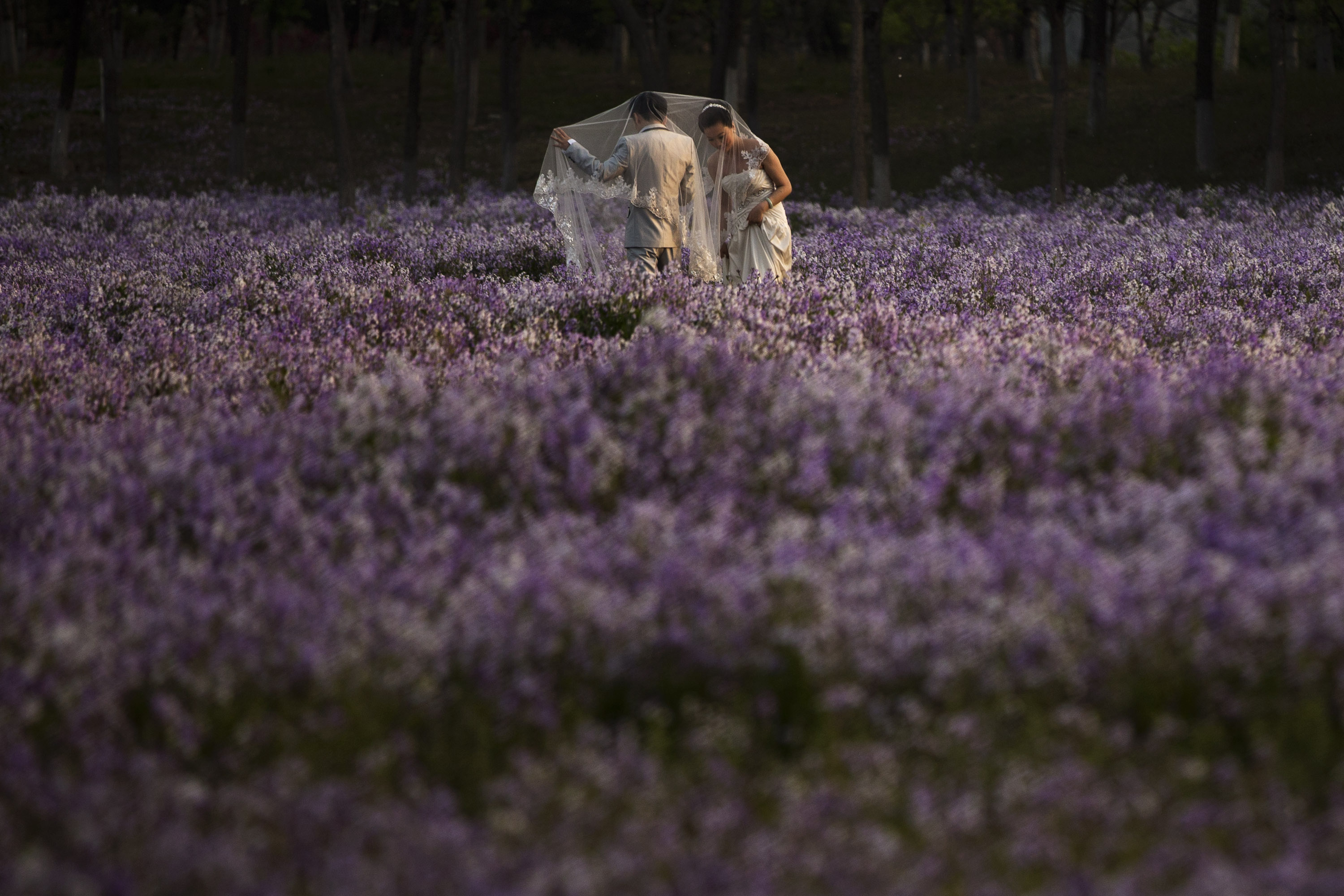 Οι φωτογραφίες της ημέρας (29 Απριλίου 2013)